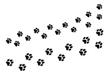 Two Isolated Trails Of Black Footprints (comics Silhuoette Shapes), A Cat And A Dog Walking Together On A Path Going From Left To Right.
