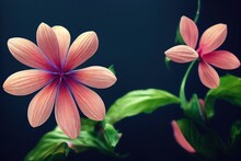 Two Beautiful Pink Flowers With Green Stems On Black Background