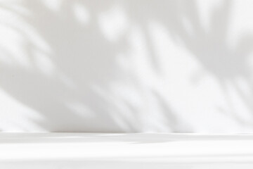 Leinwandbilder - Abstract white studio background for product presentation. Empty room with shadows of window and flowers and palm leaves . 3d room with copy space. Summer concert. Blurred backdrop.