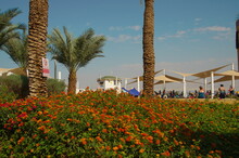 Resort On The Dead Sea. Beach, Straw Umbrellas, Lifeguard Houses, People Bathe In Salt Water. Health Resort In Israel