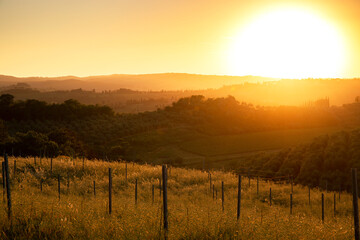 Wall Mural - Sunset over hills of a landscape in Tuscany, Italy