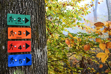 Canvas Print - Balisage promenade tourisme Allemagne Sarre couleur balade tourisme nature automne