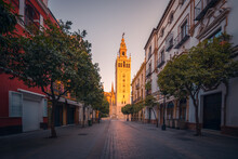 Tall Tower Of Catholic Seville Cathedral Near Modern Street In Andalusia
