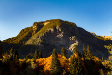 Autumn Yellow Forest In The Big Mountains