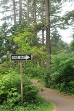 One Way Sign In Forest Area Near Pacific Ocean, Oregon.