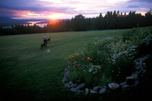 A Woman Walks In A Field With Three Dogs At Sunset In Greenville, Maine.