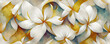 Leinwandbild Motiv Beautiful frangipani flower background