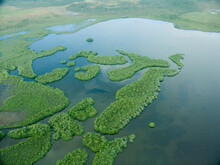 Aerial Of The Lush, Forested Southern Belize Coast Line.