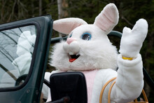 The Easter Bunny Celebrates The Holiday In His Antique Jeep.