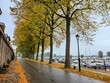 Narrow road near the port during fall