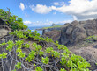 West Coast Hawaiian Island Maui