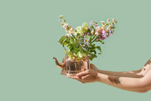 Copper Kettle With Fresh Flowers In Woman's Hands.