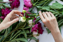 Creating Bouquet From White Peony Flowers
