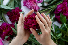 Gentle Touch Of Woman's Hands Holding Red Flower