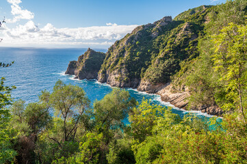 Wall Mural - Promontory in Portofino National Park