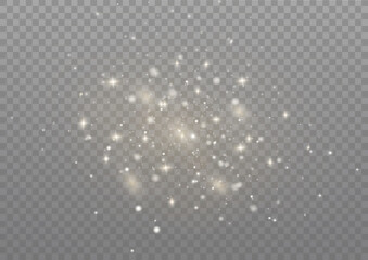 Canvas Print - Dust sparks, golden stars shine special light.