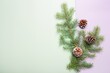 Christmas  pine branches on olive and lilac  background