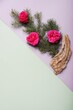 Christmas  pine branches and red roses, background