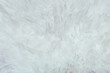 © Carter Wright/Stocksy - Close up of a white fur rug with texture