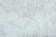 Close Up Of A White Fur Rug With Texture