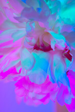 Abstract Background With Pink Petals