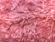 © A.J. Schokora/Stocksy - Pink Furry Wall