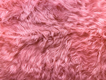 Pink Furry Wall