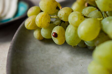 Bunches Of Grapes