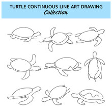 Set Of Turtle Line Design. Simple Animal Silhouette Decorative Elements Drawn With One Continuous Line. Vector Illustration Of Minimalist Style On White Background.