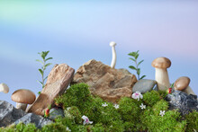 Natural Style. Wooden Podiums With Green Moss And Mushrooms.