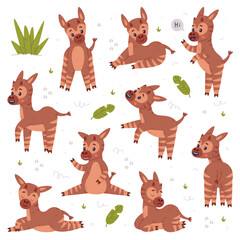 Sticker - Cute baby okapi in different poses set. Funny wild African animal character cartoon vector illustration