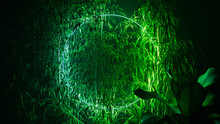 Cyberpunk Background Design. Tropical Plants With Blue And Green, Circle Shaped Neon Frame.