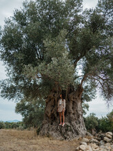Woman Standing Under Big Old Olive Tree In Rural Area