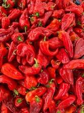 Sweet Red Pepper In Turkish Market