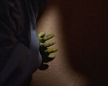 Green Monster Hand Under The Bed