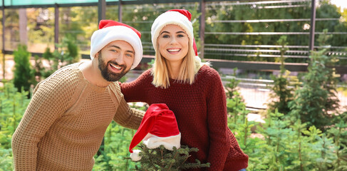 Sticker - Happy couple choosing Christmas tree in greenhouse