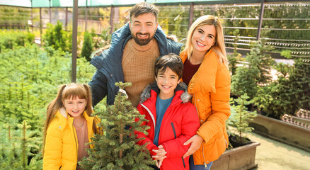 Wall Mural - Happy family choosing Christmas tree in greenhouse