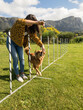 © Juno/Stocksy - Dog training