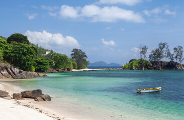 Poster - Tropical beach with palm trees