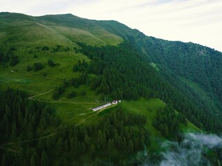 Poster - Green hills covered with dense woods