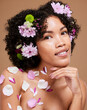 Beauty, art and black woman with flowers in hair in portrait with studio background. Nature, luxury spa and woman with flower crown, natural skincare or hair care product with sustainable ingredients