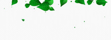 Lime Greens Motion Vector Panoramic Transparent