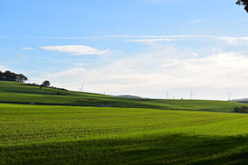 Canvas Print - grüne Hügel in der Eifel