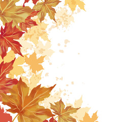 Autumn leaf fall frame. Colorful maple leaves with watercolor  background