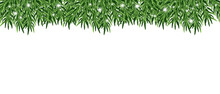 Christmas Border With Green Fir Branches And Lights On A Transparent Background. Xmas Evergreens Banner. Vector Christmas Tree Decoration. PNG Image