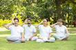 © GAJENDRRA BHATI  - Group of indian senior people practicing pranayama breathing techniques in the park Mature man and woman wearing white cloths doing yoga together.