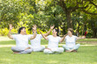 © GAJENDRRA BHATI  - Mental health, Group of retired indian senior people wearing white cloths relaxing and laughing together outdoor at summer park. healthy lifestyle, Retirement life., Stress free.