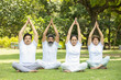© GAJENDRRA BHATI  - Group of indian senior people doing yoga sitting on grass. Mature man and woman practicing meditation together outdoor.