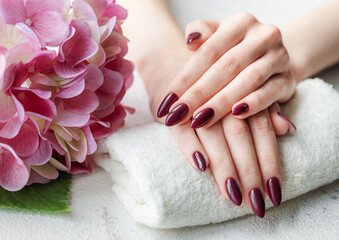 Hands of a young woman with dark red manicure on nails