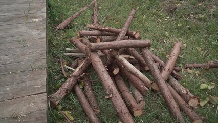 Poster - Closeup of pile of wooden logs on green grass